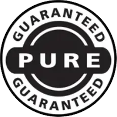 Brain Health and Focus Icon